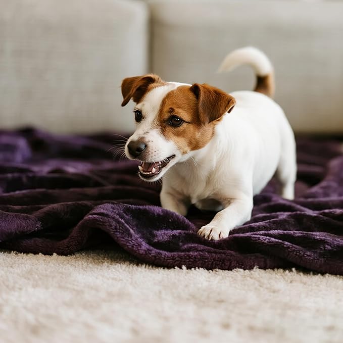 gogobunny Waterproof Bed Blanket, Reversible Sherpa Fleece Throw Blanket for Dog Puppy Cat, Furniture Cover Protects Bed Couch Sofa from Liquid Pee and Pet Fur (Dark Purple, 60x80 inches)