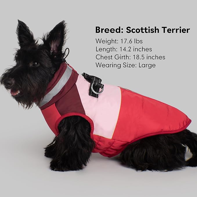 azuza Dog Jacket for Small Dogs Waterproof Dog Coat with Reflective Strips and Harness Built in Warm Fleece Dogs Winter Coat Windproof with Back Zipper, Red L