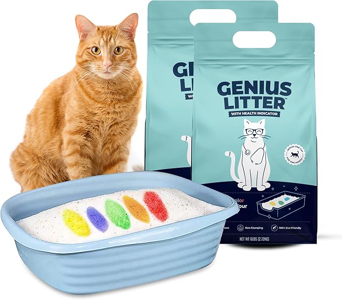 Genius Litter Health Indicating Cat Litter with Non-Clumping Lightweight Color Changing Silica Gel Crystals As Seen on Shark Tank, Non Clumping, Super Absorbent Odor Control (2 Bag (12lb))