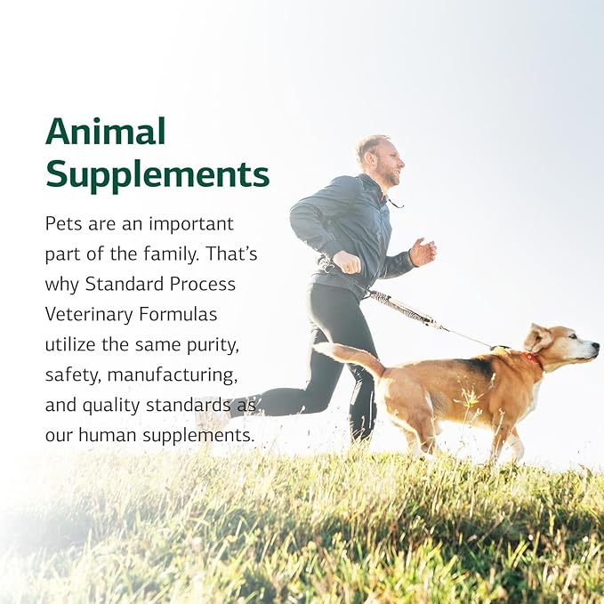 Standard Process Inc. Canine Adrenal Support - Nutritional Canine Supplement for Liver & Kidney Support - Powder Formula to Aid Dog's Adrenal Glands & Health - 25 g
