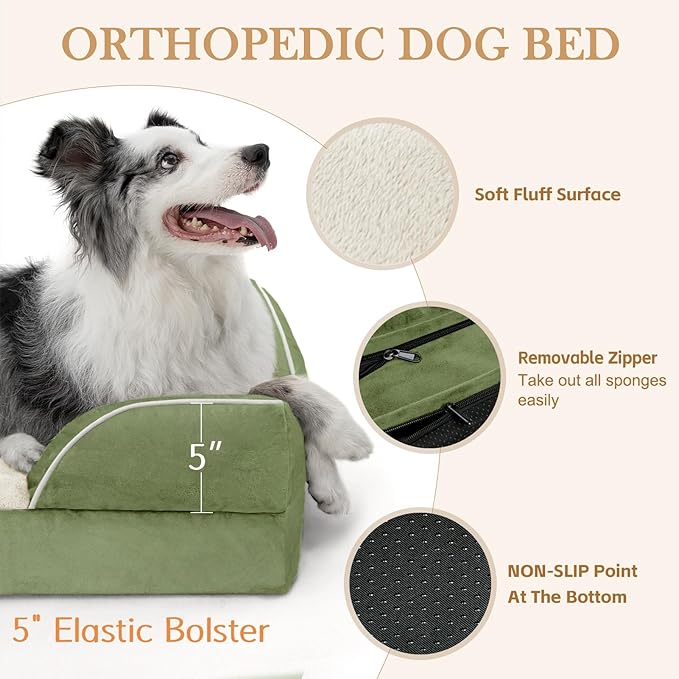 Comfort Expression Orthopedic Dog Bed for Large Dogs 36x27 Inch, Waterproof Supportive Egg Crate Foam Large Pet Bed with Removable Bolster, Dog Couch with Washable Cover & Non-Slip Bottom, Light Green