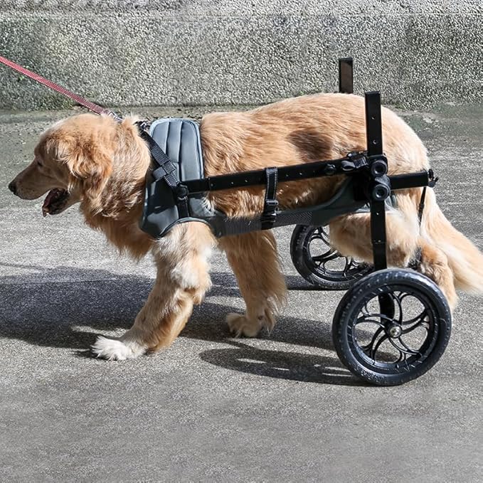 Large Dog Wheelchair for Back Legs with Pet Traction Rope - Adjustable Hind Leg Support Cart with Breathable Air Mesh Harness, All-Terrain Wheels & Foldable Frame - Mobility Aid for Disabled/Injured