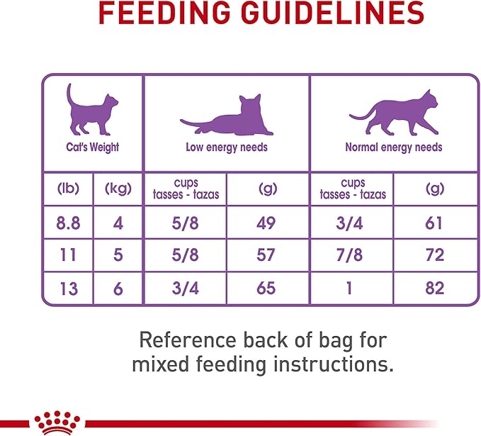 Royal Canin Feline Care Nutrition Appetite Control Care Adult Dry Cat Food, 14 lb Bag