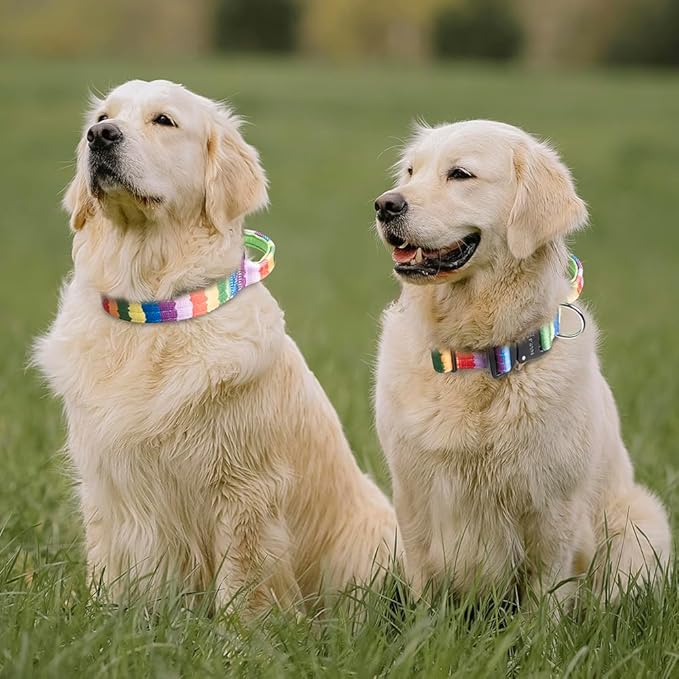 TSPRO Premium Dog Collars Tactical Dog Collar with Handle and Heavy Duty Quick-Release Metal Buckle Durable Thick and Adjustable for Medium to Large Dogs (Gradient Multi-Colored M)