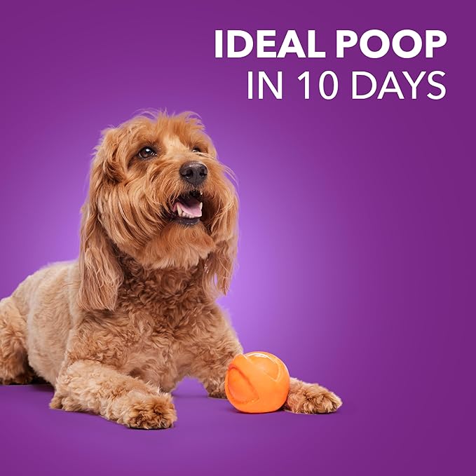 IAMS Advanced Health Healthy Digestion Adult Dry Dog Food with Real Chicken, 27 lb. Bag