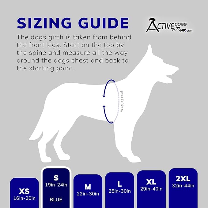 ActiveDogs Full Service Dog Kit - Small Blue - Service Vest Harness with Handle, ID Holder, ADA Cards, Medical Alert Keychain, Leash & Patches