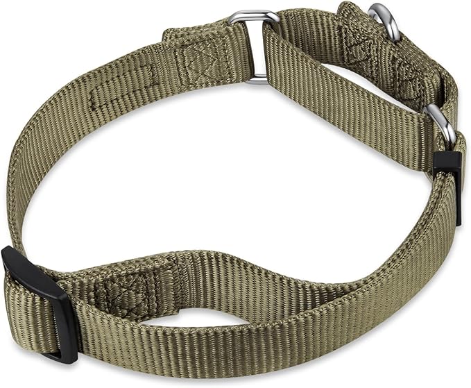 Hyhug Premium Upgraded Sturdy Nylon Escape-Proof Martingale Dog Collar for Large Breeds Dogs Comfy and Safe - Walking, Professional Training, Daily Use. (Large, Military Green)
