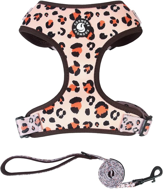 Dog Harness and Leash Set, Adjustable Dog Harness, Dog Leash, No Pull No Choke Puppy Harnesses for Walking Training for Small Medium Pet