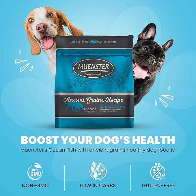 Muenster Ancient Grains Ocean Fish Dry Dog Food, 12lb (Pack of 3) - Gluten-Free, High Protein, Digestive Support