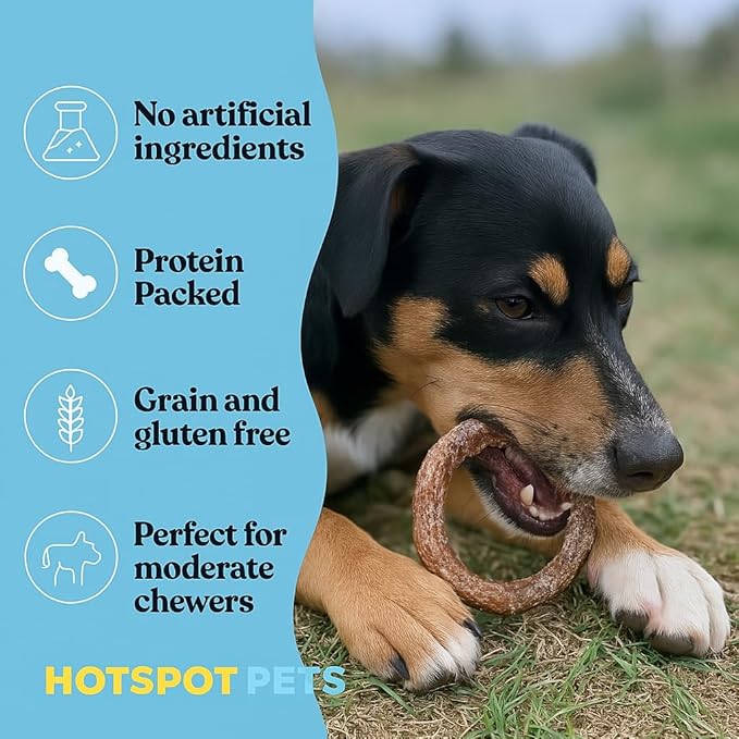hotspot pets Bully Stick Rings for Dogs - (20 Pack) 4" Premium All Natural Long Twisted Beef Pizzle Dog Chew Treats, Low Odor- Grain Free Fully Digestible Rawhide Alternative -Thick Chew Circles