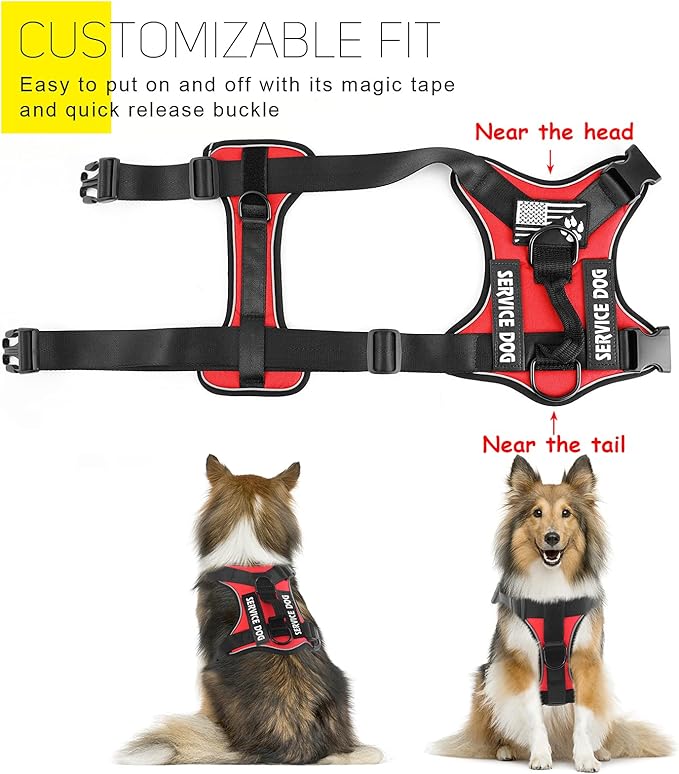 Demigreat Service Dog Harness, Reflective Dog Vest Harness with 5 PCS Patches, Adjustable Soft Oxford Pet Harness, Inner Layer Mesh, Easy to Control for Small Medium Large Dogs