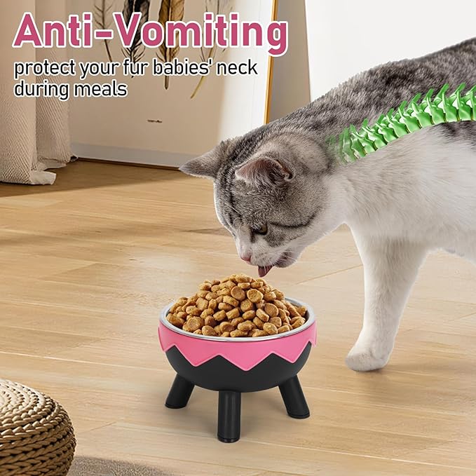Raised Cat Food Bowls, Cute Cat Feeding Bowls for Food/Water Elevated with Non-Slip Stand, Detachable Anti Vomiting Stainless Steel Pet Bowl for Kitten, Puppies, Small Dogs Indoor/Outdoor