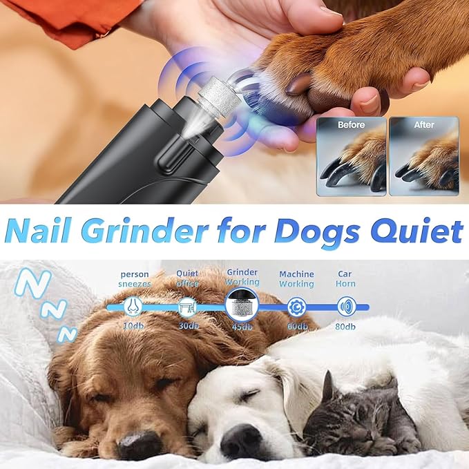 2 in 1 Dog Nail Clippers and Grinder with Lights & Cat Nail Clipper for Large Medium Small Dogs Cats Nail Trimmers USB Rechargeable with 2 LED Lights Dog Claw Care for Non-Black Nails