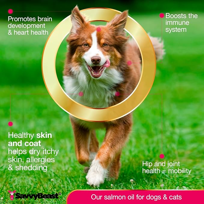 SavvyBeast Wild Alaskan Salmon Oil for Dogs, Cats & Ferrets – Omega-3 Fish Oil Pet Supplement with EPA & DHA – Supports Skin, Coat, Joints, Heart, Brain, Itch Relief & Immune – Unscented – 16 oz