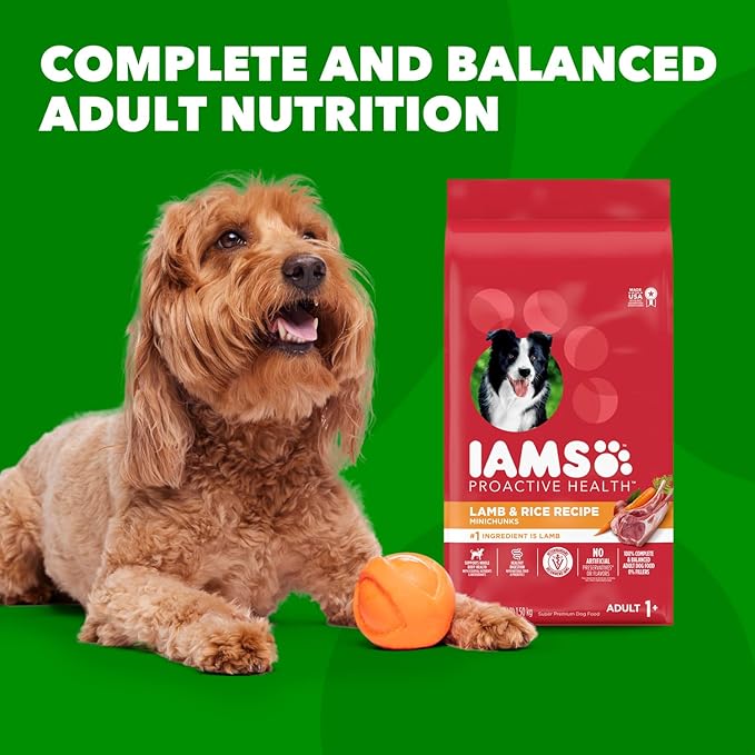 IAMS Proactive Health Minichunks Adult Dry Dog Food with Lamb & Rice, 30 lb. Bag