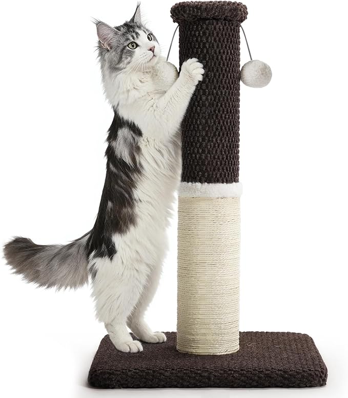 Made4Pets Tall Cat Scratching Post, Heavy Duty and Thicker Scratching Posts for Indoor Cats Adults, 23.6" Natural Sisal Cat Scratcher with Hanging Balls, Sturdy Base Cat Scratch Post, Brown