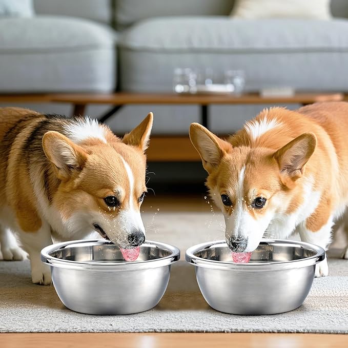 2 Pcs 0.5 Gallon Dog Bowls for Small Dogs - Food Grade Stainless Steel Metal Water Bowl, Easy to Clean Food Bowls for Indoor Outdoor