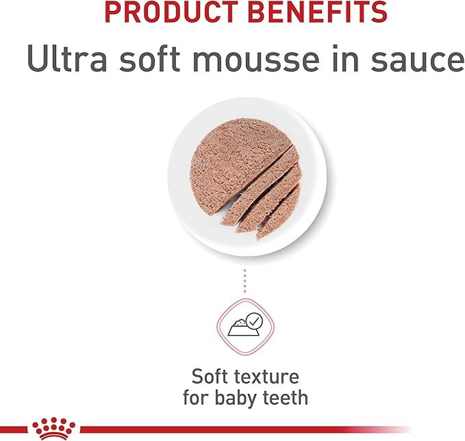 Royal Canin Feline Health Nutrition Mother & Babycat Queen Ultra Soft Mousse in Sauce Cat Food, 3 oz (Pack of 6)