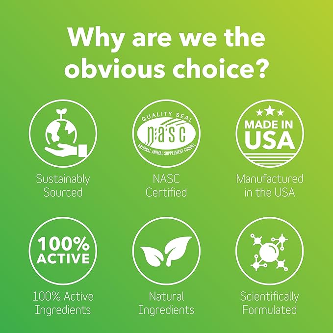 Natural Dog Allergy Relief Supplement with Turmeric - BioResiliant Treat Powder Supplement for Dogs with Seasonal Allergies, Mangosteen Helps Maintain Histamine Levels