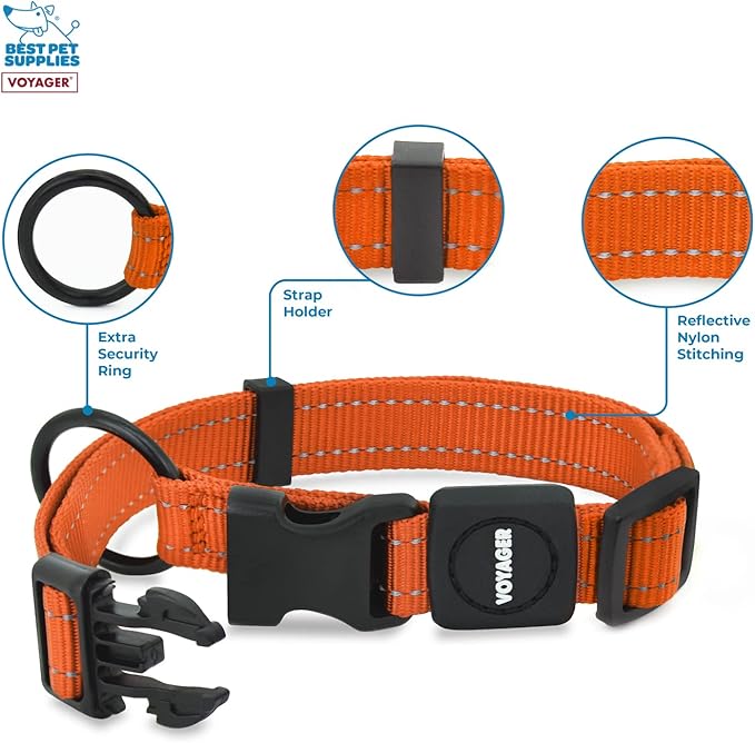 Best Pet Supplies Reflective Dog Collar with Adjustable Length, Heavy-Duty Buckle, and Strong Leash D-Ring, Training, Walking, Jogging Accessory for Small, Medium, and Large Breeds - Orange, M