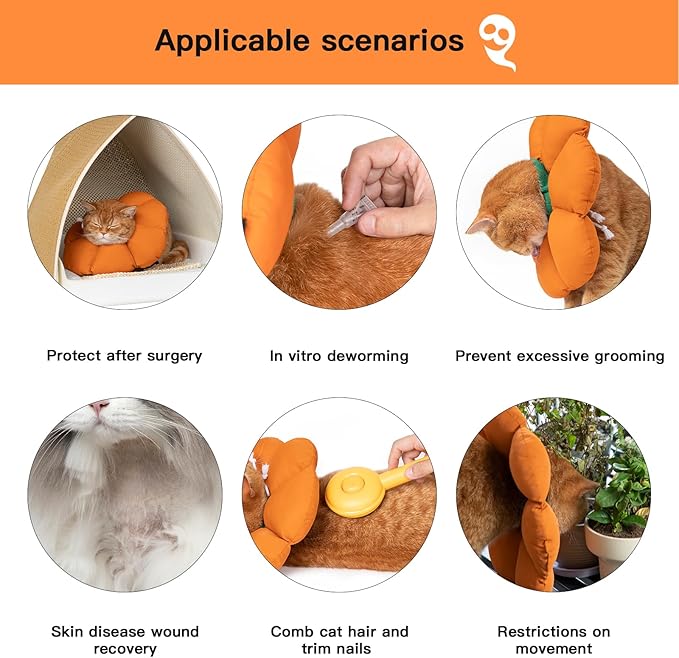 H HIDREAM Cat Cone Collar,Cute Waterproof Recovery Collar,Anti-Bite Lick Wound Healing Safety Elizabethan e Collar for Cats,Orange Pumpkin Halloween Costume, HDY01-005M