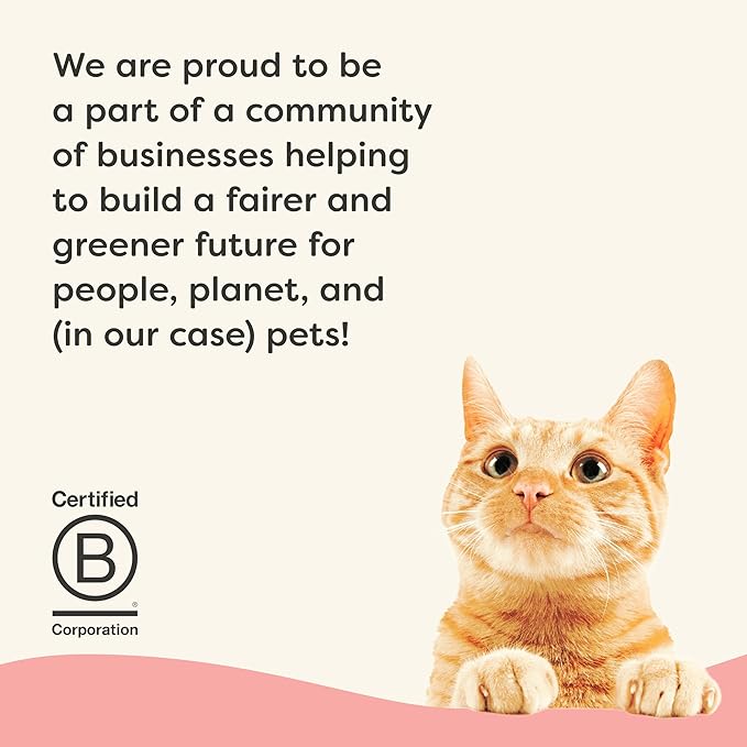 Applaws Vitality Wet Cat Food in Broth, Natural Cat Food with Added Vitamins & Minerals, Grain-Free, Carrageenan Free, Tuna Fillet & Salmon in Broth (24 Count, 2.47 oz Cans)