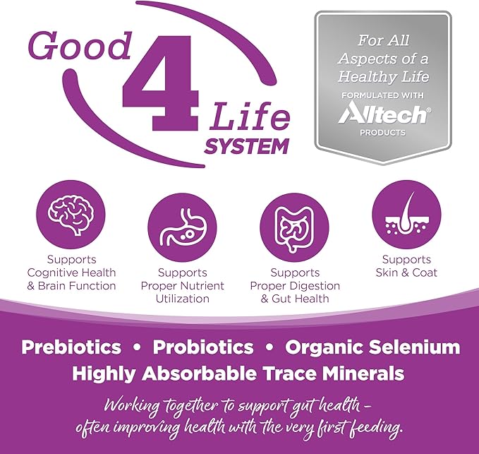 NutriSource Puppy Food for Large Breeds, Chicken and Rice, 4LB