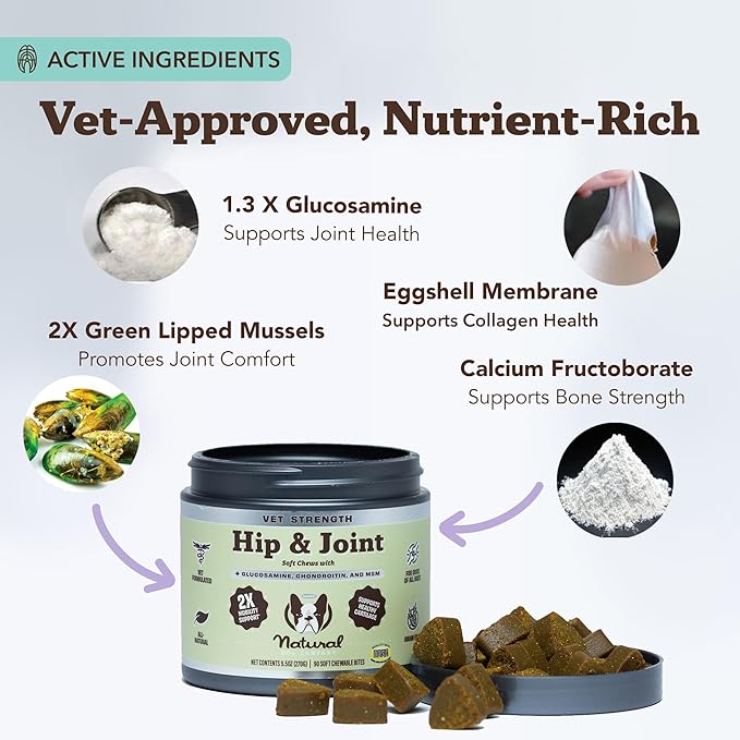 Natural Dog Company Vet Strength Hip & Joint Chews for Senior Dogs (90ct) Joint & Flexibility Support, Arthritis Relief for Senior Dogs, 1.3X Glucosamine, 2X Green Lipped Mussel & MSM for Dog Mobility