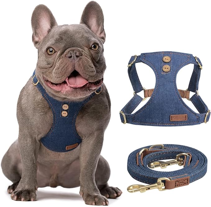 No Pull Small Dog Harness with Multifunction Dog Leash,Lightweight Soft Adjustable No Choke Escape Proof Pet Harness Vest Pet Harness Vest,Denim Blue,S