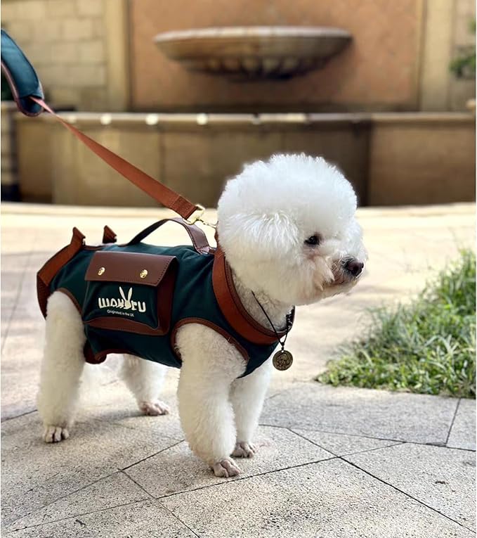 Dog Lift Harness Dog Carrier Dog VES Harness Adjustable Dog Leash with Small Puppy Treat Bag（Green,XS）