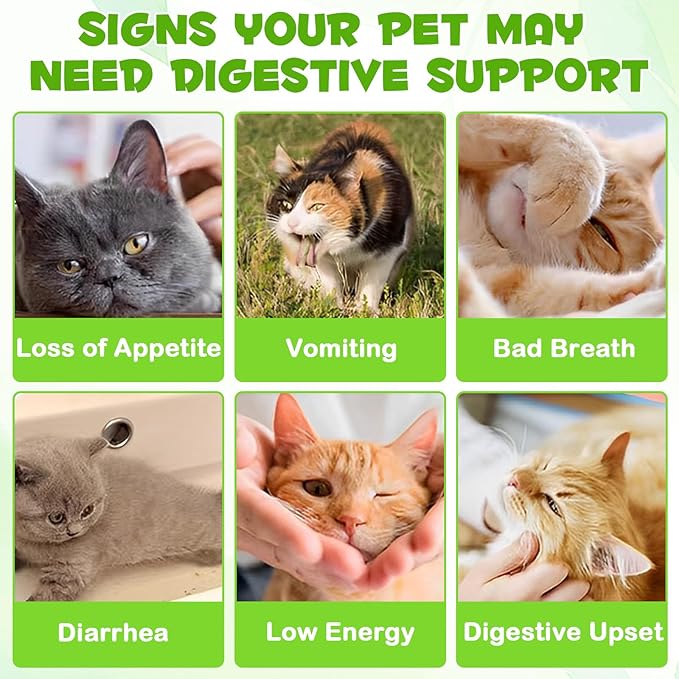 3-in-1 Probiotics for Cats with Digestive Enzymes & Prebiotics – Supports Gut Health, Immune System & Diarrhea Relief – 60ml for Cats of All Ages