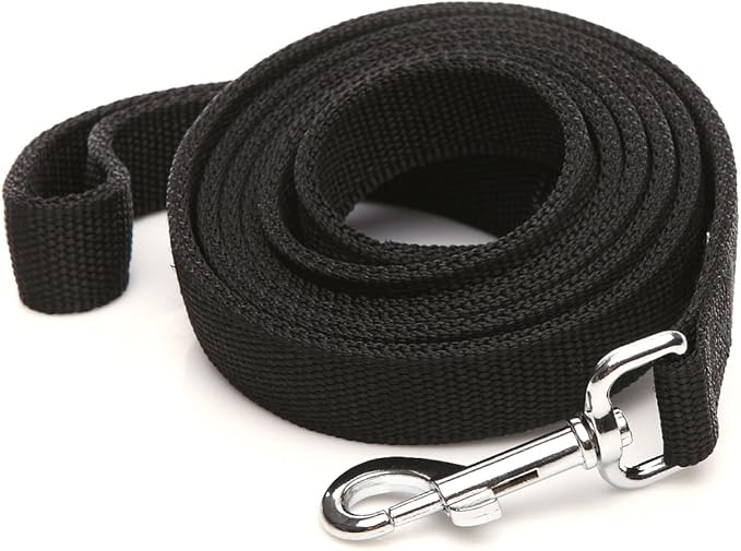 Strong Nylon Dog Leash with 2-Layer, 4 FT/ 6 Feet Long, 1 Inch Wide for Medium Large Dogs (1'' x 5 FT, Black)