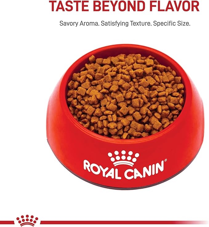 Royal Canin Feline Health Nutrition Mother & Babycat Dry Cat Food, 3 lb Bag