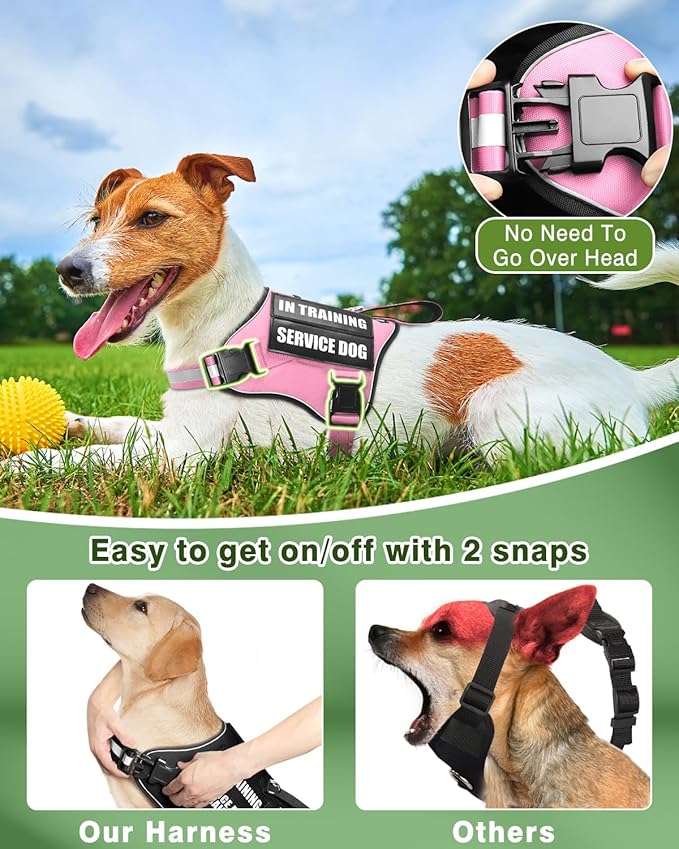 Service Dog Vest Harness and Leash Set+10 Patches for Puppy Small Dogs,Do Not Pet Emotional Support Dog Vest with 2 Soft Padded Handle for Everyday/Training (Pink XS)