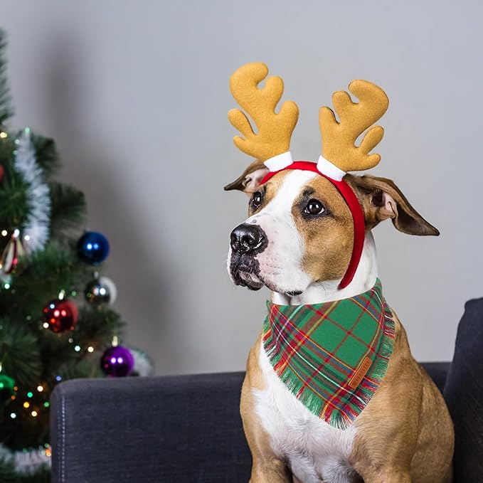 ADOGGYGO 2 Pack Dog Bandana Christmas with Tassels Edges, Stylish Red Green Plaid Pet Scarf Bibs Kerchief, Premium Cotton Fabric, Pet Christmas Bandanas for Medium Large Dogs (Large)