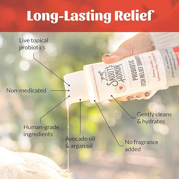 Skout's Honor Probiotic Itch Relief Shampoo for Pets - Non-Medicated, Fragrance-Free, Paraben & Sulfate-Free, with Avocado Oil & Omega 3's, 8oz, 2-Pack