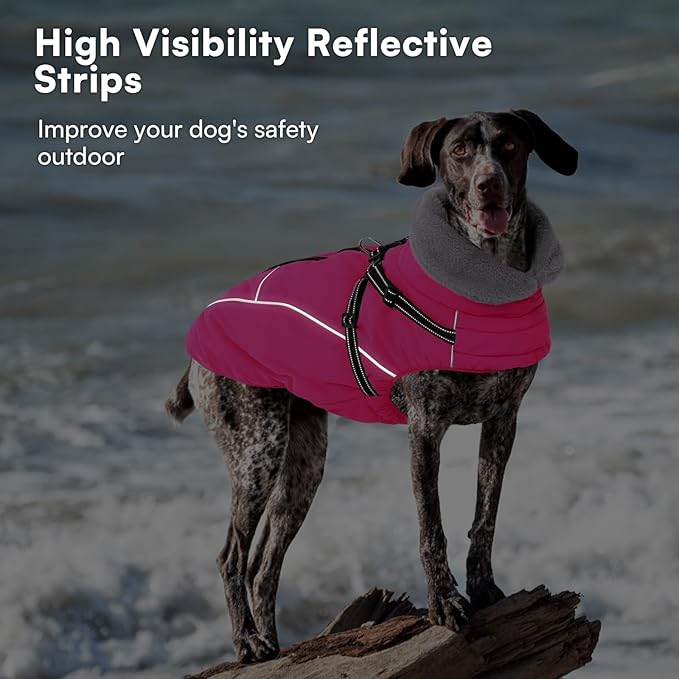 Queenmore Dog Coat,Windproof Dog Coat for Medium Dogs,Dogs Jackets with Harness Built in,Waterproof Doggy Coats with Zipper On Back,Reflective Cold Weather Coats for Dachshund,Boston Terrier,RoseRed,M