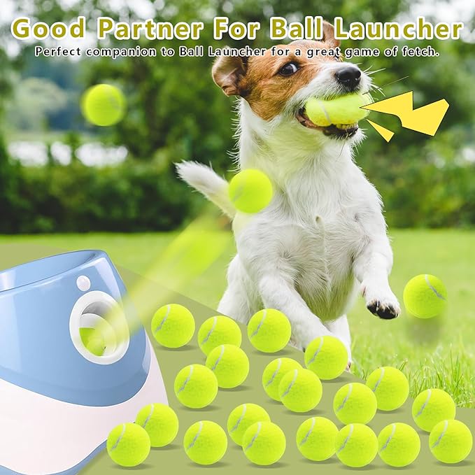 Magicorange 20 Pack Small Tennis Balls, 2 inch Squeaky Tennis Ball for Dogs,Colorful Easy Catching Squeaky Dog Balls with Mesh Bag for Easy Transport (Yellow)