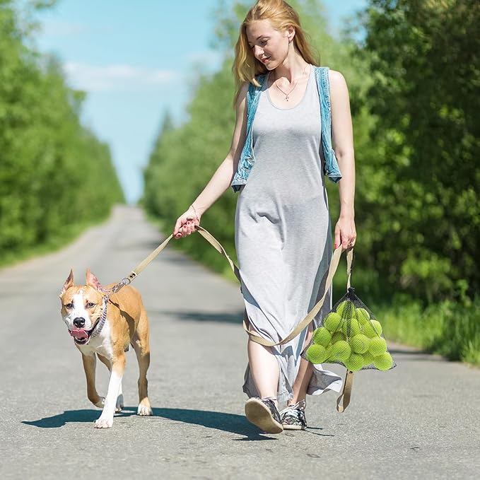 Magicorange 20 Pack Small Tennis Balls, 2 inch Squeaky Tennis Ball for Dogs,Colorful Easy Catching Squeaky Dog Balls with Mesh Bag for Easy Transport (Yellow)