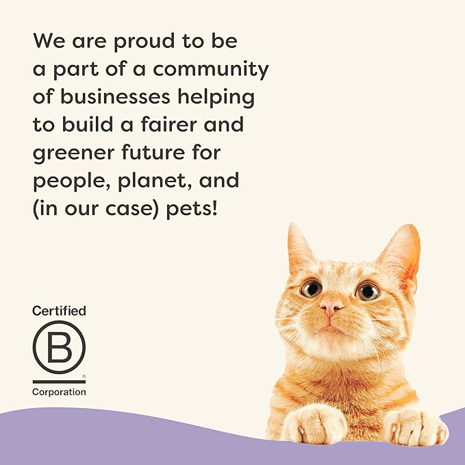 Applaws Vitality Wet Cat Food in Broth, Natural Cat Food with Added Vitamins & Minerals, Grain-Free, Carrageenan Free, Variety Selection in Broth (12 Count, 2.47 oz Cans)