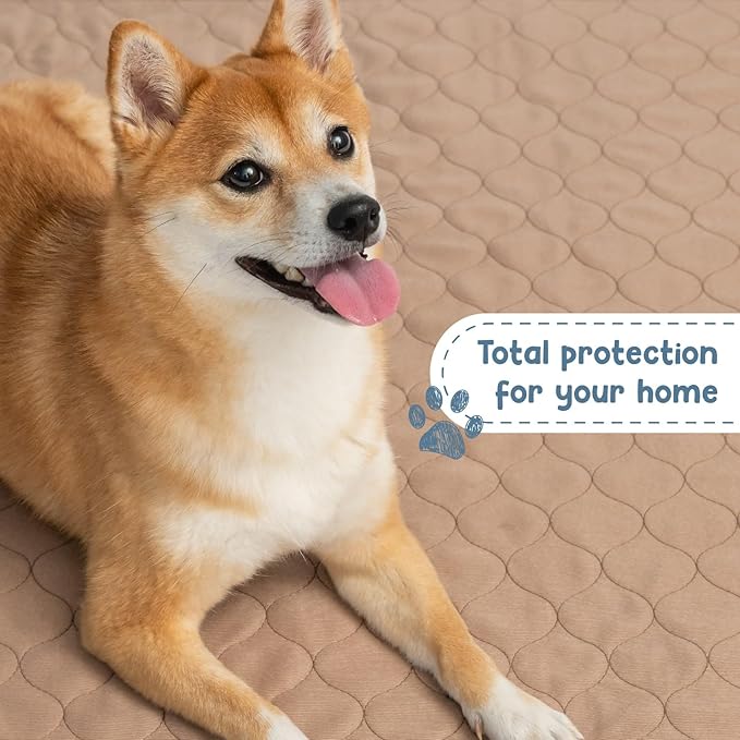 EZwhelp Reusable Dog Pee Pads - Waterproof Training Pads for Dogs - Washable & Sanitary - Rounded Corners - Laminated, Lightweight, Durable - Pet Essentials for Puppy Training and Whelping - 48" x 60"