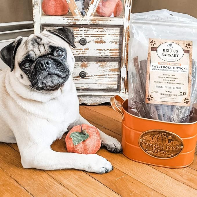 USA Sweet Potato Dog Treats - Grain Free, Cinnamon Pumpkin Crunchy Sticks are Great Tasting, Promote Positive Dog Gut Health with Natural Anti-Diarrhea Properties, no Preservatives Added