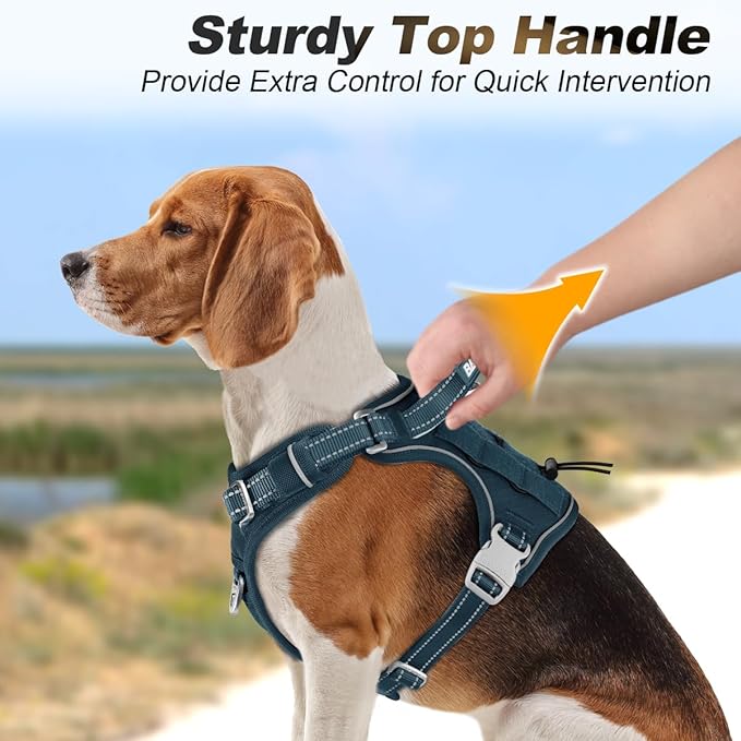 BARKBAY Service Dog Vest Tactical Dog Harness Medium Large Sized Dog Tags Personalized No Pull Adjustable Harness Reflective Working Training Easy Control Military Molle System(Legion Blue,S)