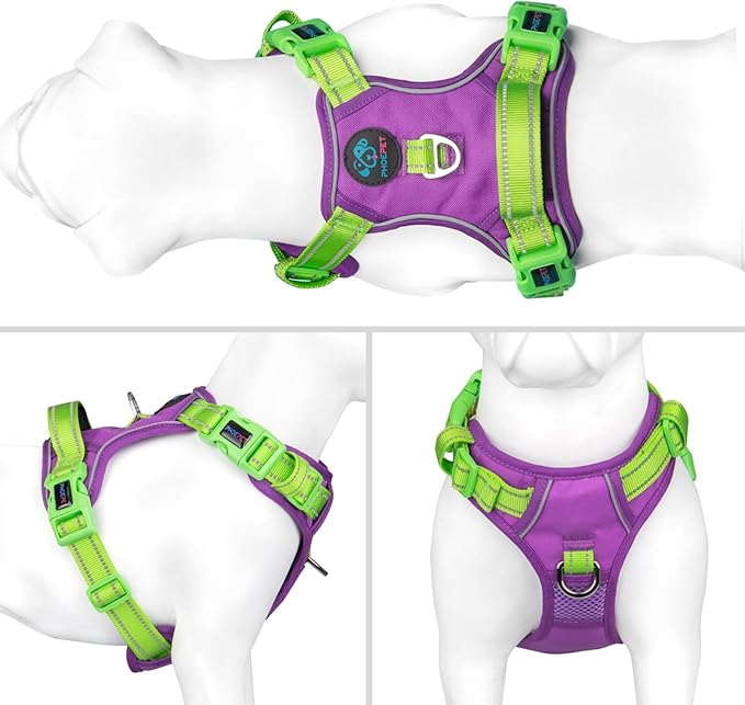 PHOEPET No Pull Dog Harness, Unique Colors Reflective Adjustable Dog Vest, with Soft Training Handle Metal Clips for Small Medium Large Dogs (Purple Base & Green Straps,S)