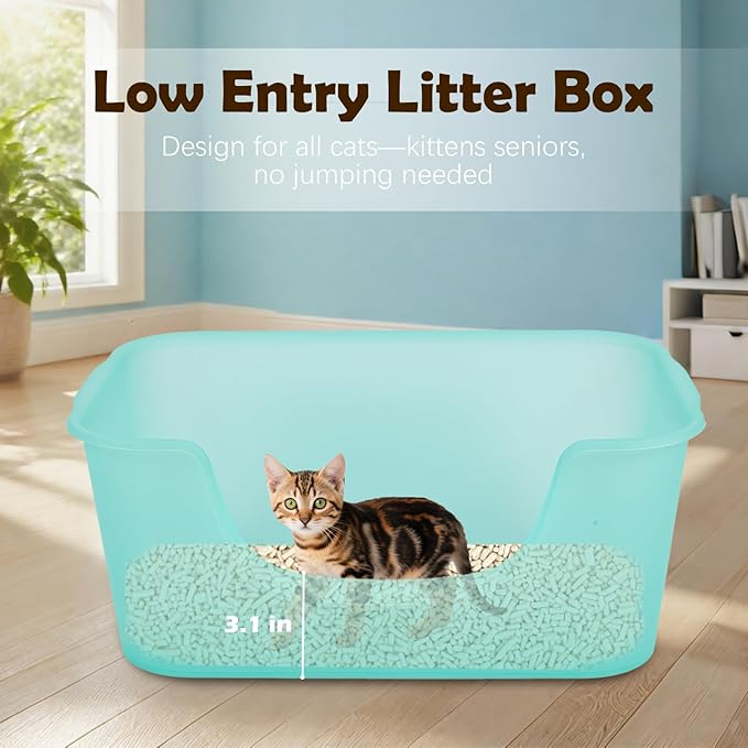 Large Cat Litter Box With High Sides For Indoor Multi Cats,Big Low Entry Cat Litter Pan Kitty Litter Box For Kittens & Senior Cats,Open Top Waterproof Anti-Splashing High Wall Cat Box(Purple)