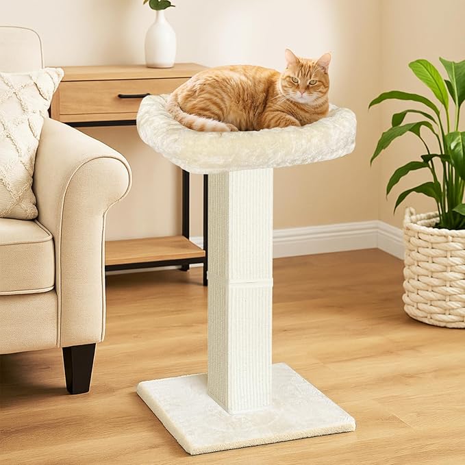 AGYM Cat Scratching Post, 32”Cat Scratcher with Large Plush Perch, Sisal & Carpet Scratching Post, Vertical Posts with Elevated Bed for Indoor Cats, Removable& Washable Cover, Beige