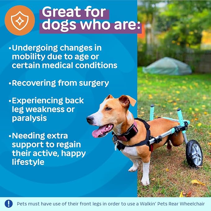 Walkin' Wheels Small Dog Wheelchair, Lightweight Dog Wheelchair for Back Legs, 11-14 lbs, for 7-8 inches Leg Height - Seafoam