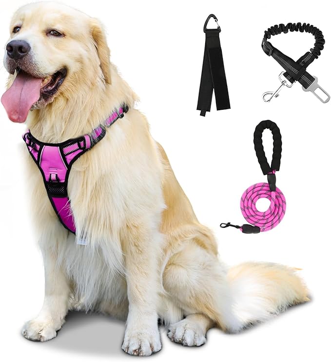 FURRYFECTION Dog Harness | No Pull Dog Harness | Reflective Oxford | Padded Handle | 4 Adjustable Straps | 2 Leash Clips | No Choke Pet Vest Harness for Small Medium Large Dogs | Rose | M