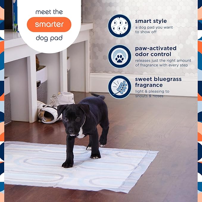 Pet Life Unlimited Smart Prints Extra Large Puppy Pads – 26" x 30", 25 Count (XL) | Stylish Dog Training Pads with Odor Controlling Wetness-Activated Sweet Bluegrass Scent | USA Made