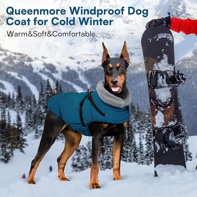 Queenmore Dog Jackets for Large Dogs, Dog Coat with Harness Built in,Waterproof Dogs Coats with Zipper On Back,Warm Fleece Lining Cold Weather Pet Coats with Furry Collar for Labrador,Blue,L